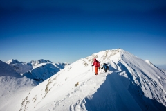 16357711_1526574234027455_744750012_o